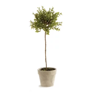 A small artificial tree with a rounded canopy of green leaves sits atop a slender brown trunk. The tree is potted in a light-colored, textured ceramic pot, which has a slightly wider rim and a tapered base. The pot contains a layer of dark soil or moss at the top. The overall appearance is neat and decorative, suitable for indoor or outdoor settings.