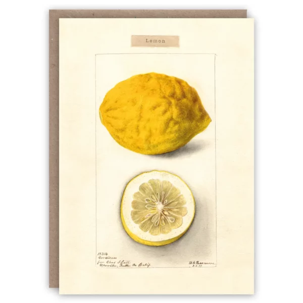 Greeting card with vintage illustration of a whole lemon and bisected lemon.Adapted from a watercolour by deborah griscom passmore (1891).
