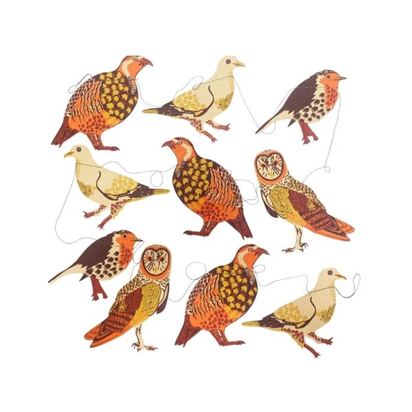A collection of illustrated birds is displayed, featuring various species in vibrant colors. The birds are depicted in a stylized manner, showcasing intricate patterns and details. Each bird is connected by thin strings, suggesting they might be part of a mobile or decorative display. The arrangement includes a mix of shapes and sizes, with some birds having distinctive features like unique plumage and facial markings. The overall aesthetic is playful and artistic, emphasizing the beauty of avian life.