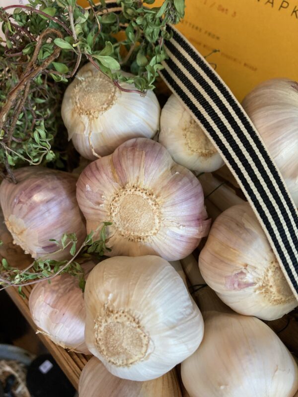 A close-up view of several garlic bulbs, showcasing their pale white and light purple skins. The bulbs are clustered together, revealing their textured surfaces and root ends. Sprigs of fresh thyme are intertwined among the garlic, adding a touch of green. A striped black and white ribbon is partially visible, suggesting a decorative or functional element in the arrangement. The background features a hint of yellow, possibly from a nearby surface or packaging.