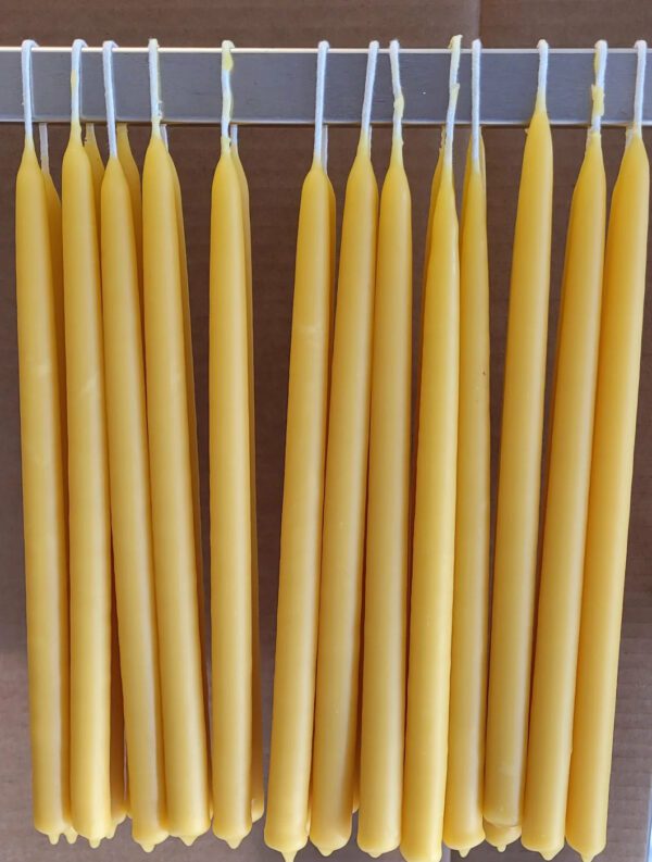 A row of twelve yellow taper candles is hanging from a metal rod. The candles are slender and have pointed tops, with white wicks visible at the top of each. They are arranged neatly, showcasing their smooth, uniform appearance against a brown background.