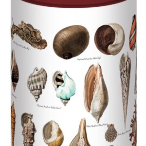 A cylindrical puzzle container with a rich red top and a cream label reading "SEASHORE" and "500 Pieces." The sides feature detailed illustrations of various seashells and marine life, including different types of shells, a lobster, and other sea creatures, all labeled with their names. The design has a vintage aesthetic, showcasing a variety of textures and colors typical of marine fauna.