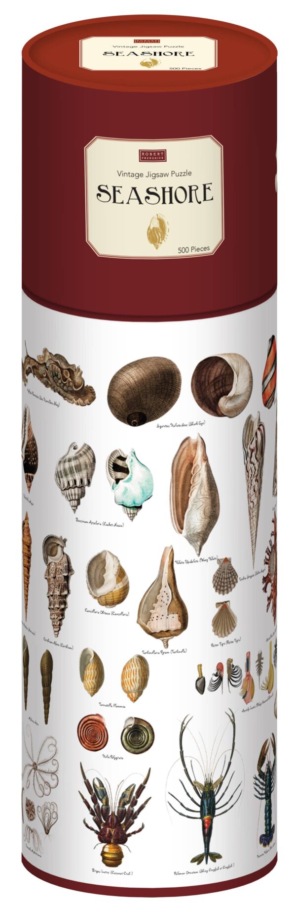 A cylindrical puzzle container with a rich red top and a cream label reading "SEASHORE" and "500 Pieces." The sides feature detailed illustrations of various seashells and marine life, including different types of shells, a lobster, and other sea creatures, all labeled with their names. The design has a vintage aesthetic, showcasing a variety of textures and colors typical of marine fauna.