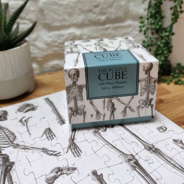 A puzzle box titled "The Puzzle Cube" is prominently displayed, featuring a design with illustrations of human skeletons. The box indicates it contains a 100-piece puzzle measuring 260 x 380 mm. In the foreground, partially completed puzzle pieces are visible, showcasing detailed skeletal illustrations. A small potted plant is positioned in the background, adding a touch of greenery to the scene. The setting appears to be a wooden surface with a textured wall behind.