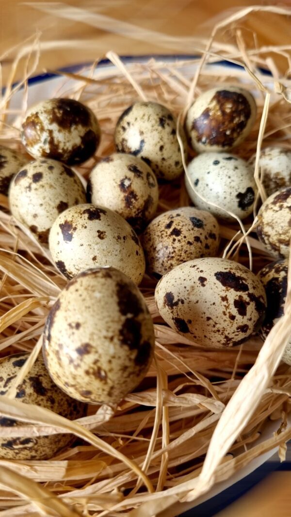 A collection of speckled eggs is nestled in a bed of straw. The eggs are predominantly light beige with dark brown spots, varying in size and orientation. The straw adds a natural texture and color contrast, creating a rustic appearance. The background is softly blurred, focusing attention on the eggs.