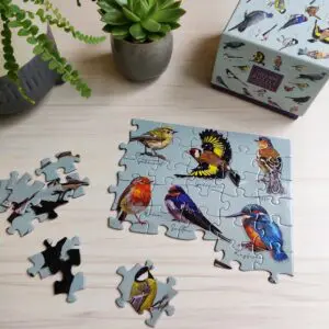 Partially completed jigsaw puzzle featuring colorful illustrations of various birds with their names written underneath, including Goldcrest, Goldfinch, Robin, Swallow, and Kingfisher. Several loose puzzle pieces are scattered nearby. The puzzle box, decorated with similar bird illustrations, is placed on the right side. Two small potted plants are positioned on the left side of the light wooden surface.